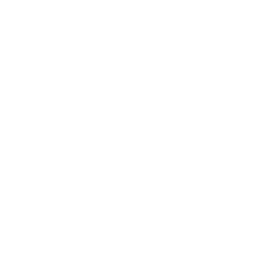Segment.blanc@0.75x pictogramme d'un graphique représentant un segment d'une pie chart