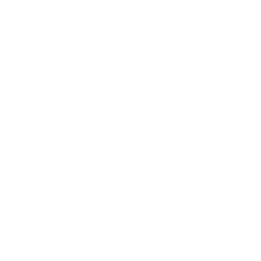 Logo de Datapneu